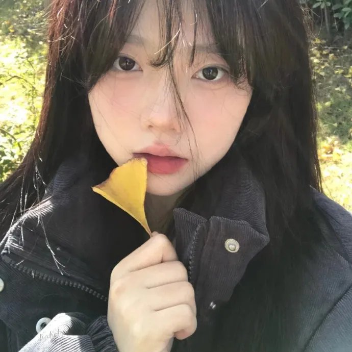来不及道歉